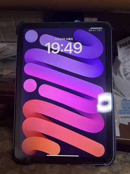 Apple iPad mini 8.3インチ 第6世代 Wi-Fi+Cellular 256GB 2021年秋